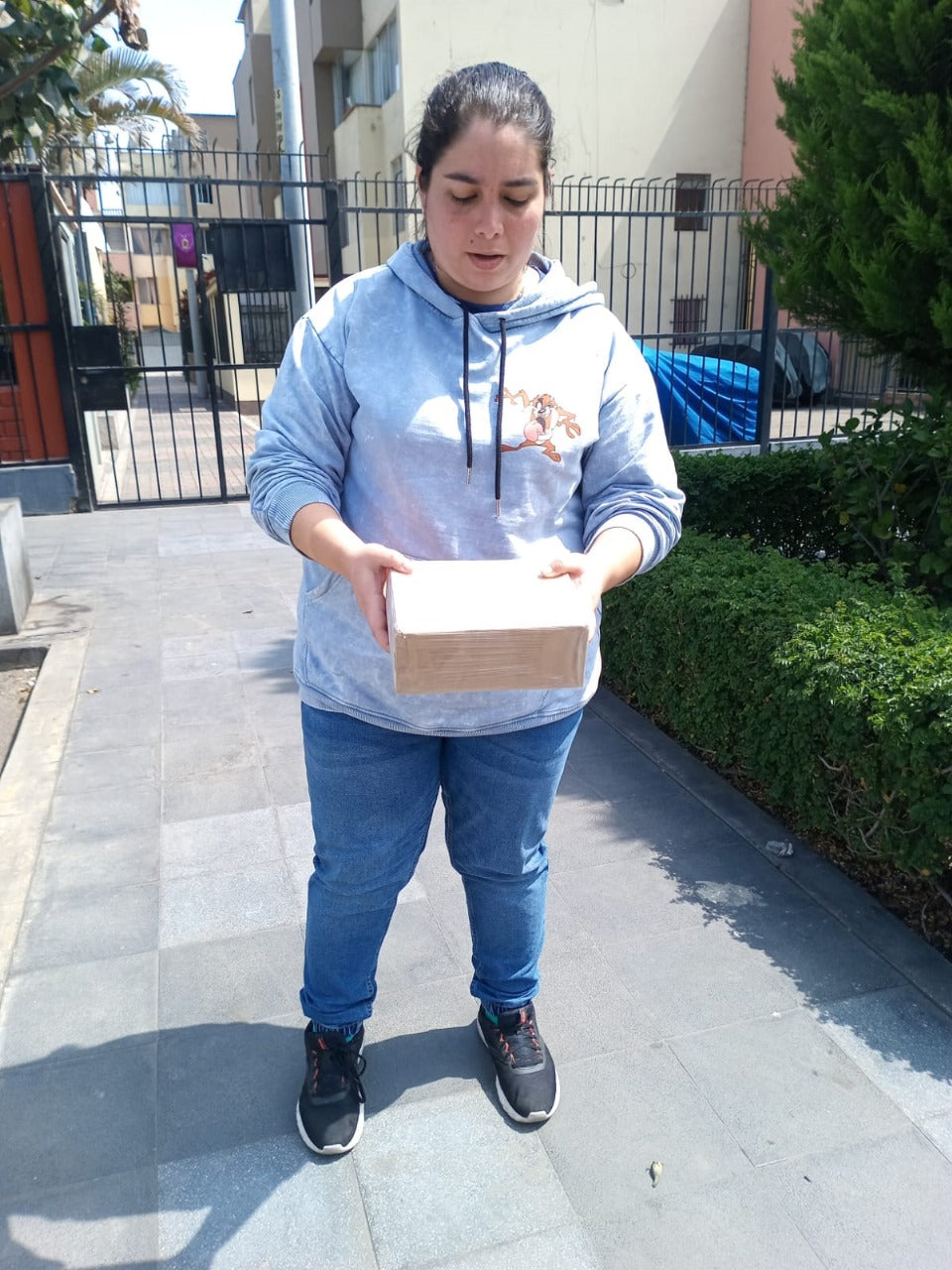 <em>Angela Martines P   LIMA</em>